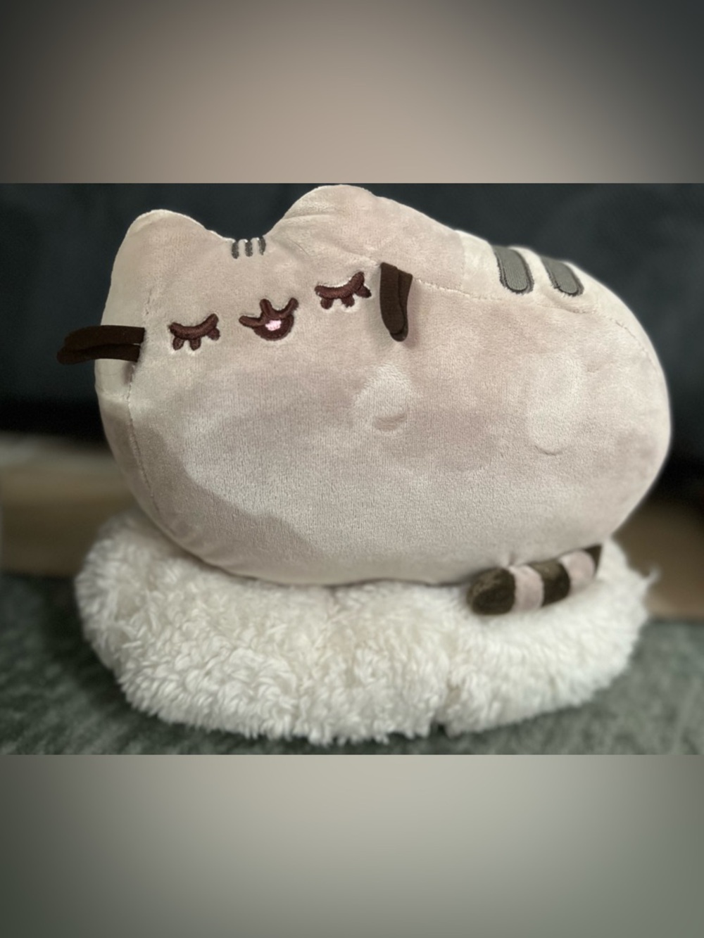Gund Pusheen Sleeping on a Cloud Claires Exclusive Plush Stuffed Animal 2017